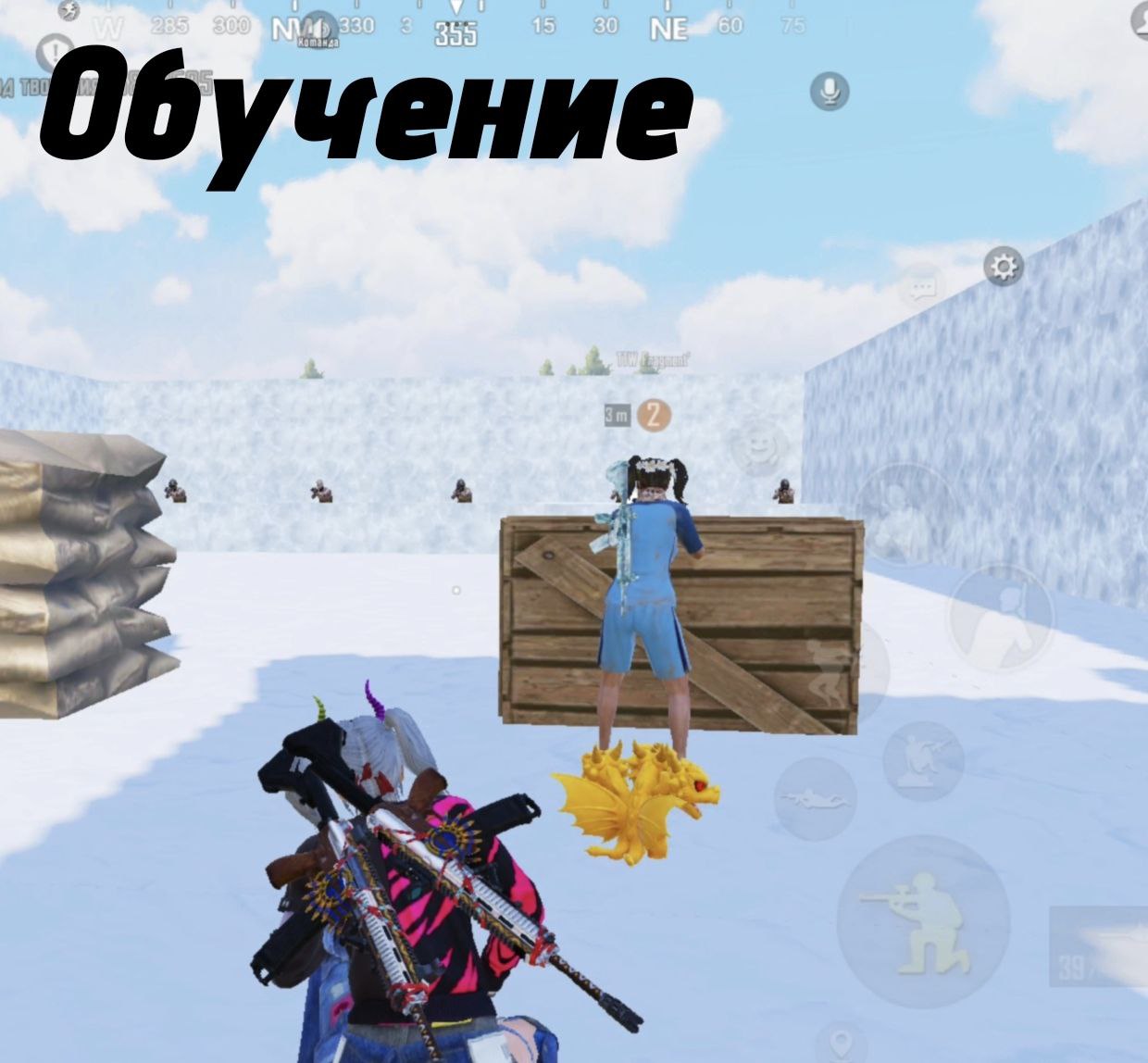 Обучение<br>(7 дней по 1 часу)